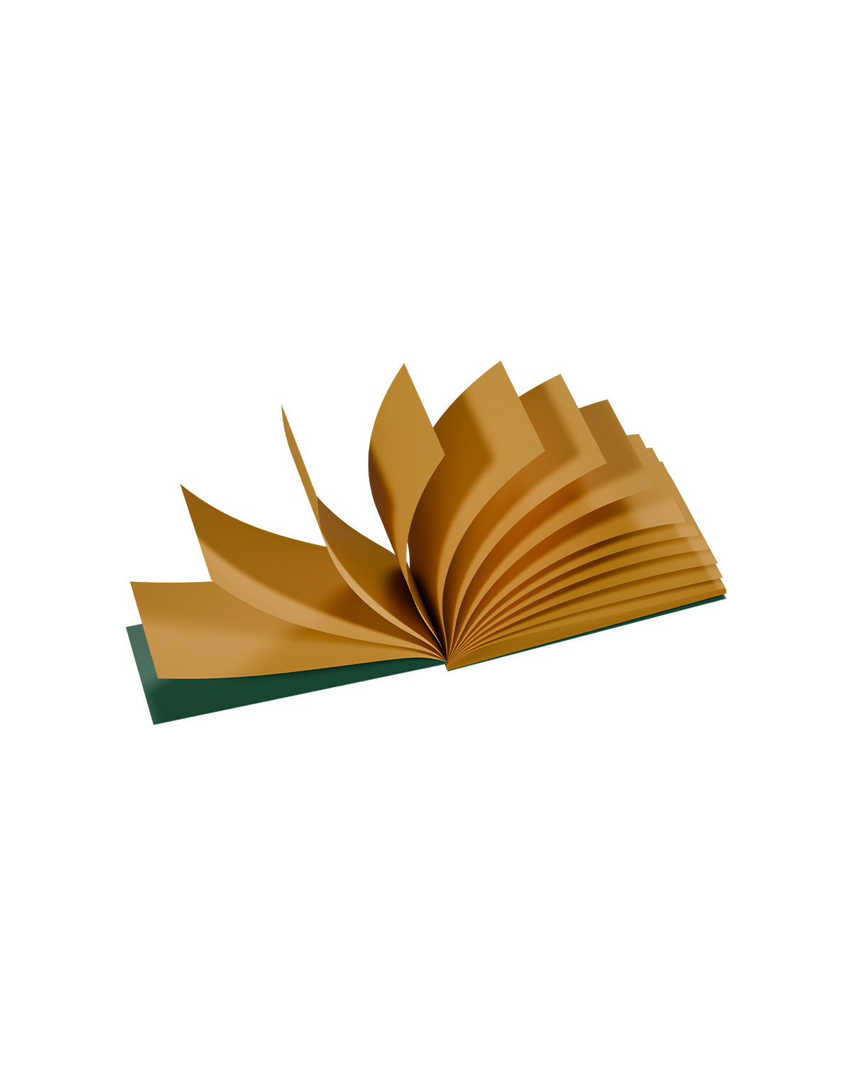 stash-pro Color Roach Book